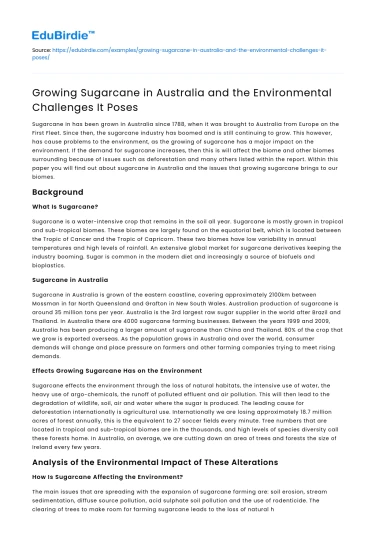 Growing Sugarcane in Australia and the Environmental Challenges It Poses