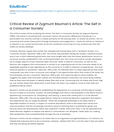 Bauman’s Article: ‘The Self in a Consumer Society’ Review