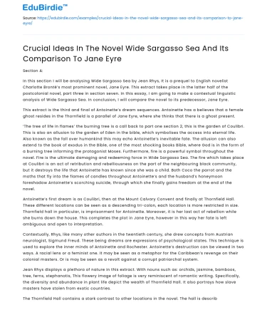 Jane Eyre’ and ‘Wide Sargasso Sea’: Comparison Essay