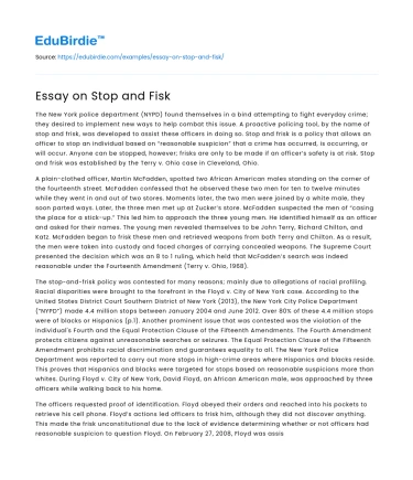 Essay on Stop and Fisk