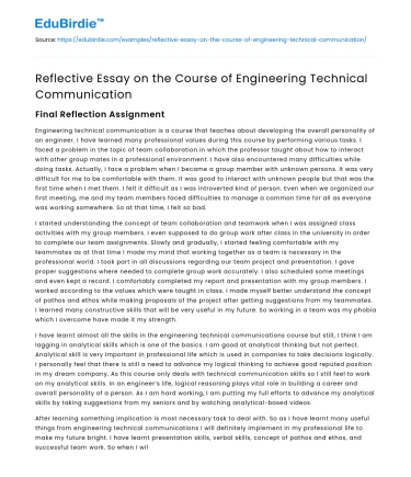 Reflective Essay on the Course of Engineering Technical Communication