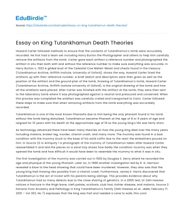 Essay on King Tutankhamun Death Theories