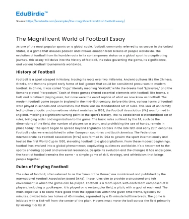The Magnificent World of Football Essay