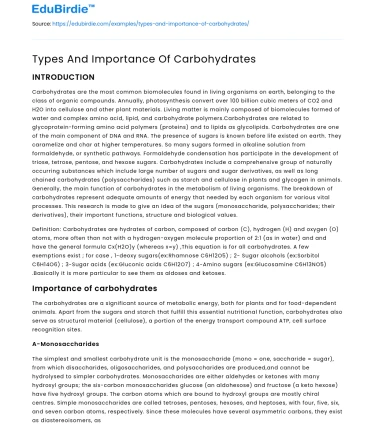 Types And Importance Of Carbohydrates