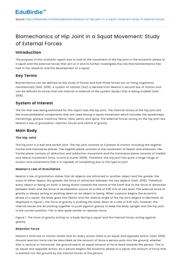 Biomechanics of Hip Joint in a Squat Movement: Study of External Forces