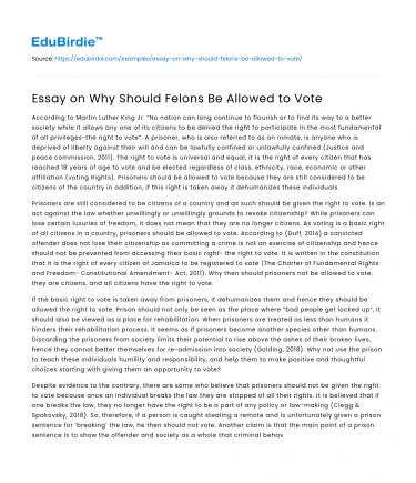 Essay on Why Should Felons Be Allowed to Vote