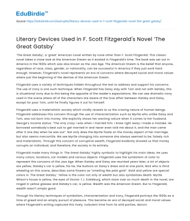 Literary Devices Used in F. Scott Fitzgerald’s Novel ‘The Great Gatsby’