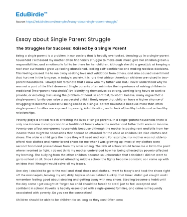 Essay about Single Parent Struggle