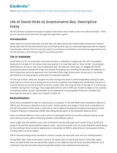 The Complex Experience of David Hicks at Guantanamo Bay