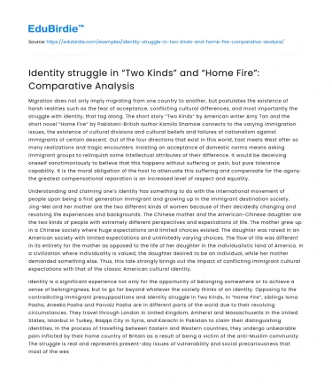 Identity struggle in “Two Kinds” and “Home Fire”: Comparative Analysis