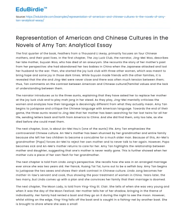 American & Chinese Cultures in Amy Tan’s Novels