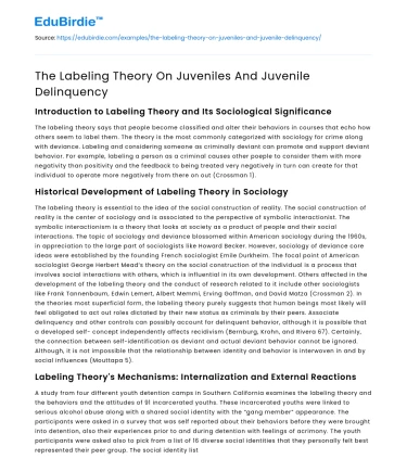 The Labeling Theory On Juveniles And Juvenile Delinquency