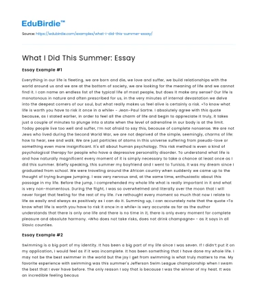 What I Did This Summer: Essay