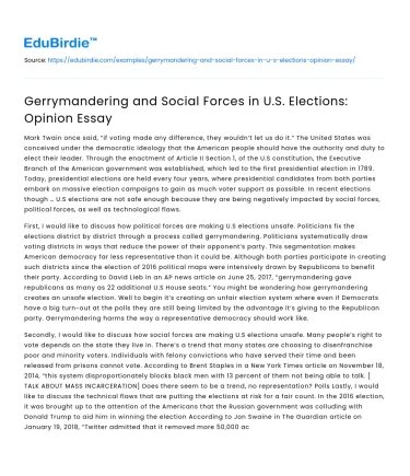 Gerrymandering and Social Forces in U.S. Elections: Opinion Essay