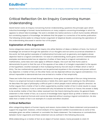 Critical Reflection On An Enquiry Concerning Human Understanding