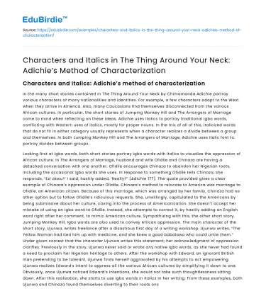 Adichie’s Characterization in The Thing Around Your Neck