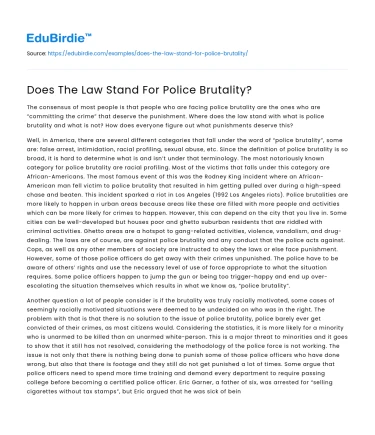 Legal Frameworks on Police Brutality