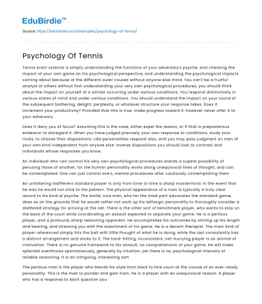 The Psychological Dynamics of Tennis Performance
