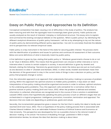 Essay on Public Policy and Approaches to Its Definition