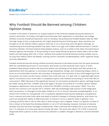 Why Football Should Be Banned among Children: Opinion Essay