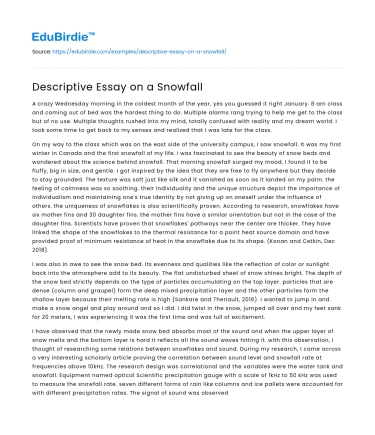 Descriptive Essay on a Snowfall