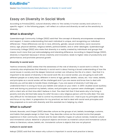 Essay on Diversity in Social Work