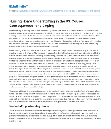 Nursing Home Understaffing in the US: Causes, Consequences, and Coping