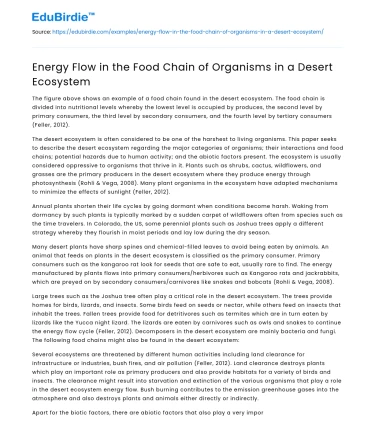 Energy Flow in the Food Chain of Organisms in a Desert Ecosystem