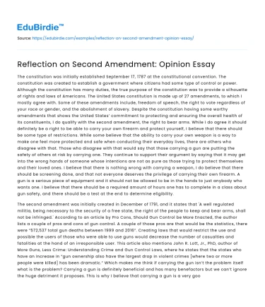 Reflection on Second Amendment: Opinion Essay