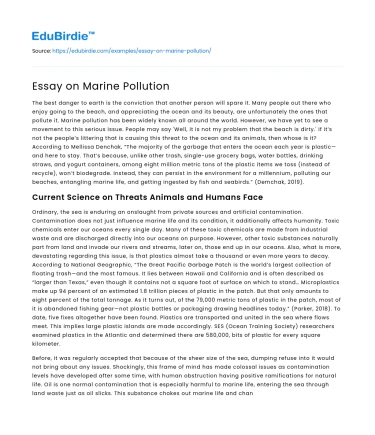 Essay on Marine Pollution