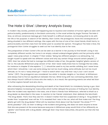 The Hate U Give’: Literary Analysis Essay