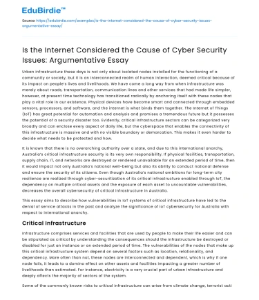 Internet’s Role in Cyber Security Issues