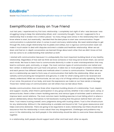 Exemplification Essay on True Friend