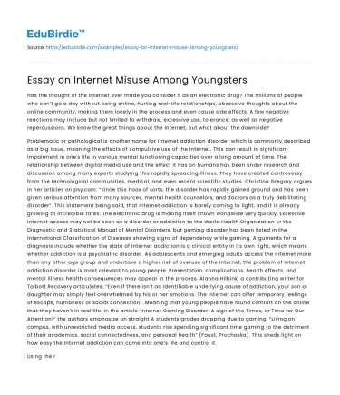 Essay on Internet Misuse Among Youngsters