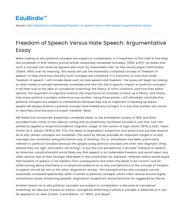 Freedom of Speech Versus Hate Speech: Argumentative Essay