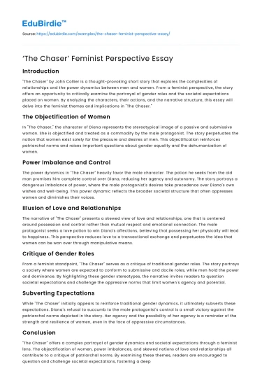 ‘The Chaser’ Feminist Perspective Essay