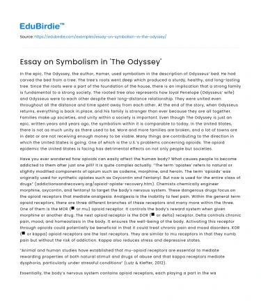 Essay on Symbolism in ‘The Odyssey’