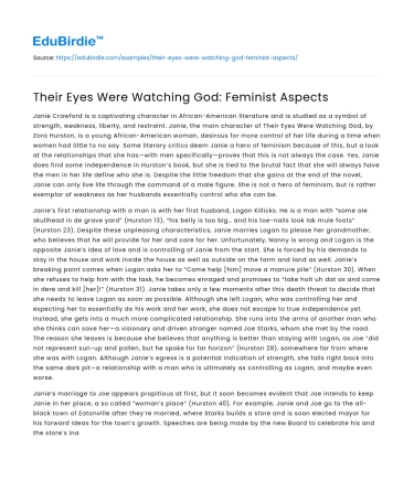 Their Eyes Were Watching God: Feminist Aspects