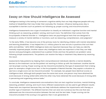 Essay on How Should Intelligence Be Assessed
