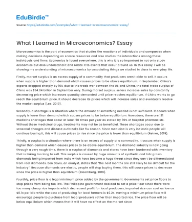 What I Learned in Microeconomics? Essay