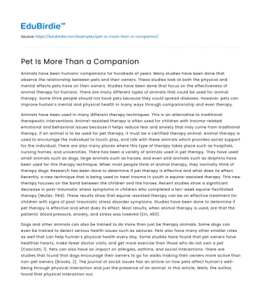 Pet Is More Than a Companion