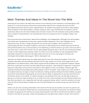 Main Themes And Ideas In The Novel Into The Wild
