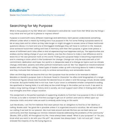 Searching for My Purpose