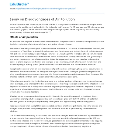Essay on Disadvantages of Air Pollution