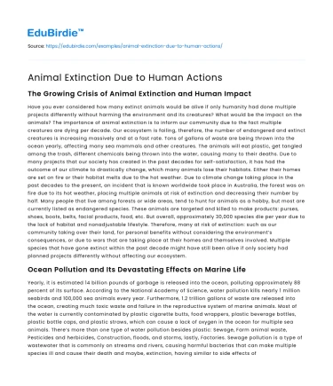 Animal Extinction Due to Human Actions