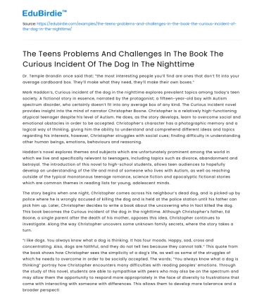 Teen Challenges in The Curious Incident of The Dog In The Nighttime