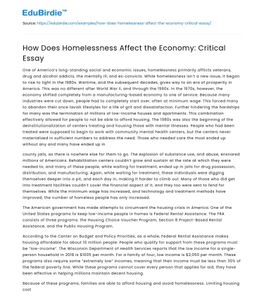 How Does Homelessness Affect the Economy: Critical Essay