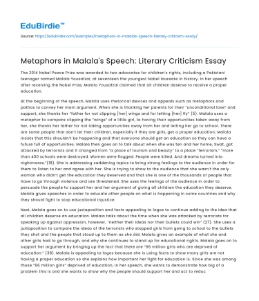 Metaphors in Malala’s Speech: Literary Criticism Essay