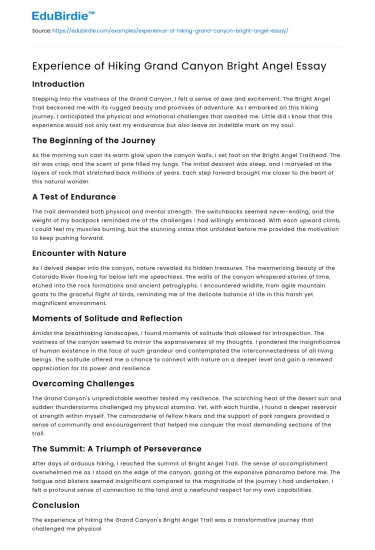 Experience of Hiking Grand Canyon Bright Angel Essay