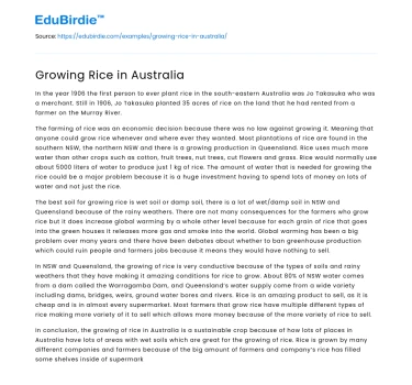 Growing Rice in Australia